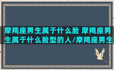 摩羯座男生属于什么脸 摩羯座男生属于什么脸型的人/摩羯座男生属于什么脸 摩羯座男生属于什么脸型的人-我的网站